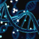 DNA
