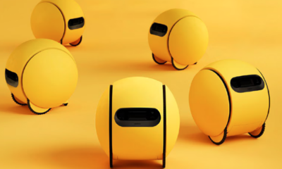 Ballie robot