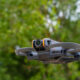 Drone DJI Neo 2
