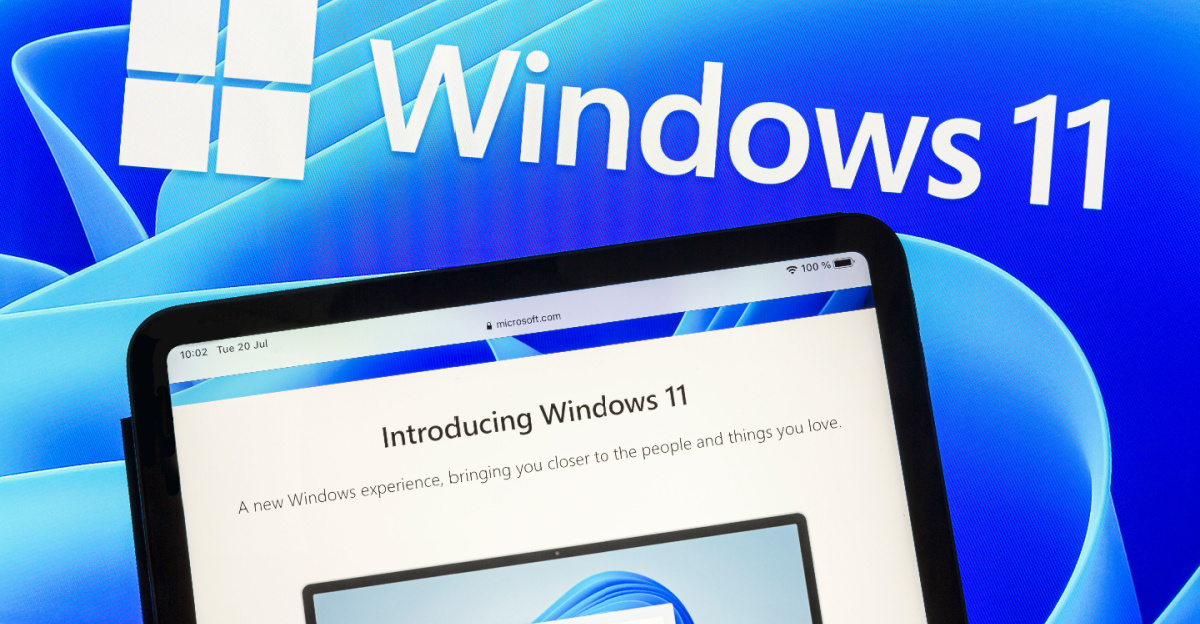 Windows 11