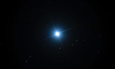 Star stjärna