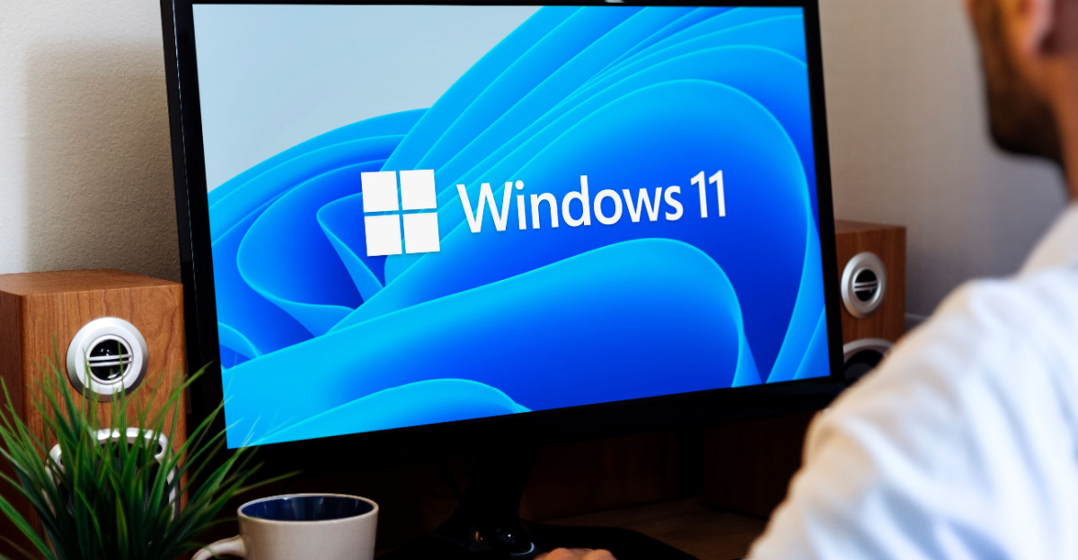 Windows 11
