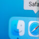 Safari