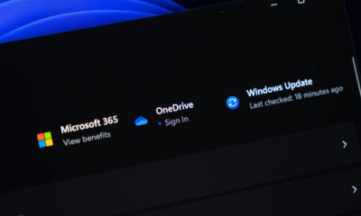 Windows dark